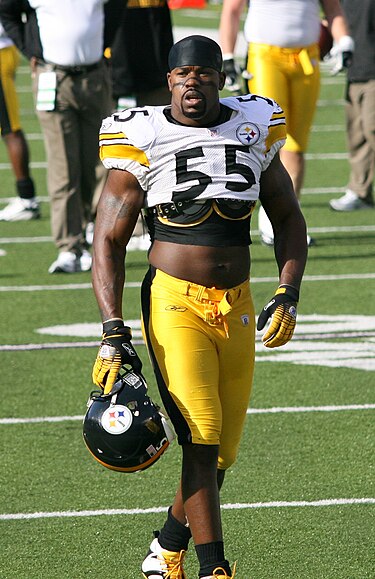 Joey_Porter_Steelers_2006.jpg