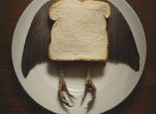 IMG_0615.jpeg
